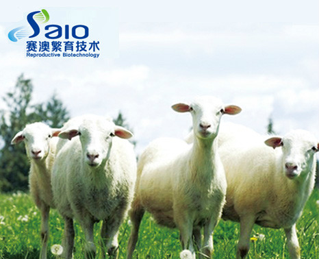 图片加载失败