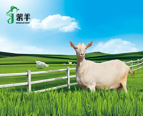 图片加载失败
